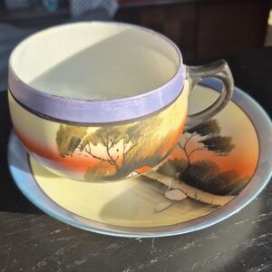 Hand Painted Japanese Teacup and Saucer Set